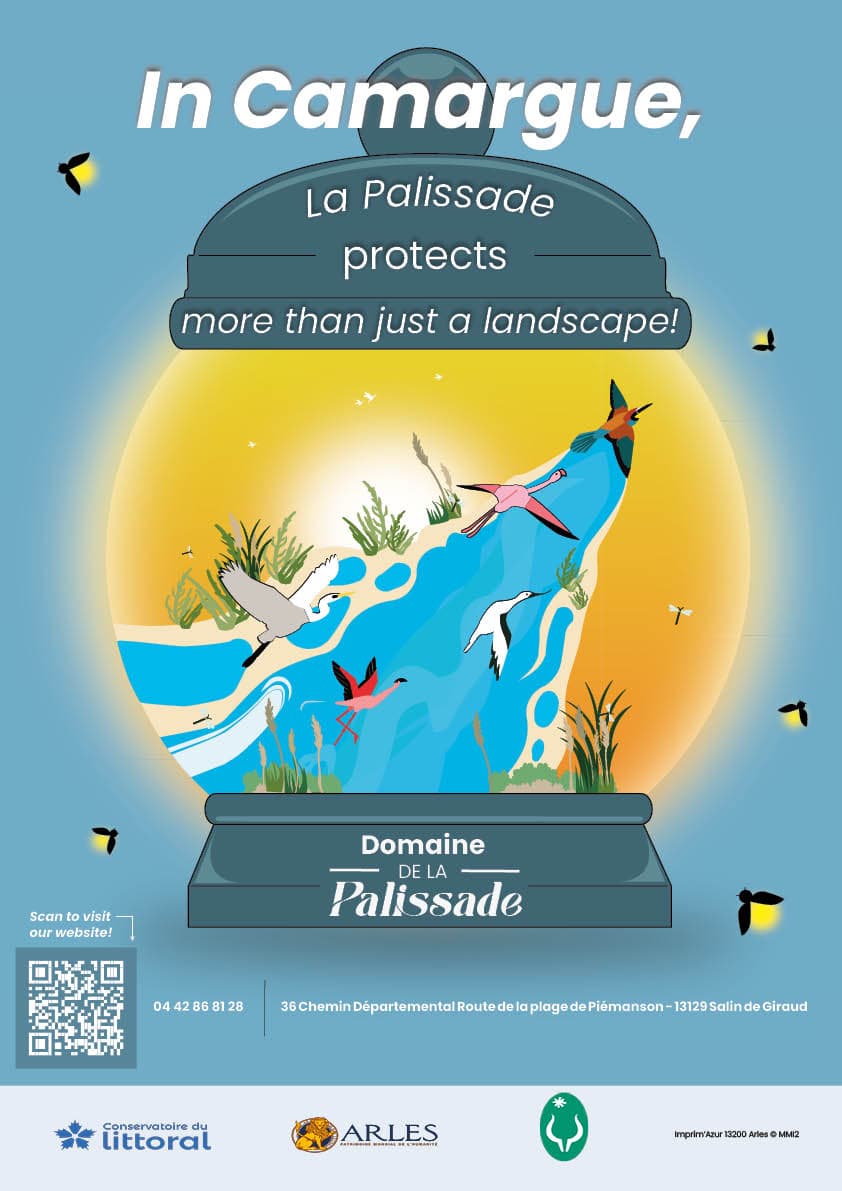 Domaine de la Pallisade -Elsa-Méissane-Elora-Guillaume-Laurian